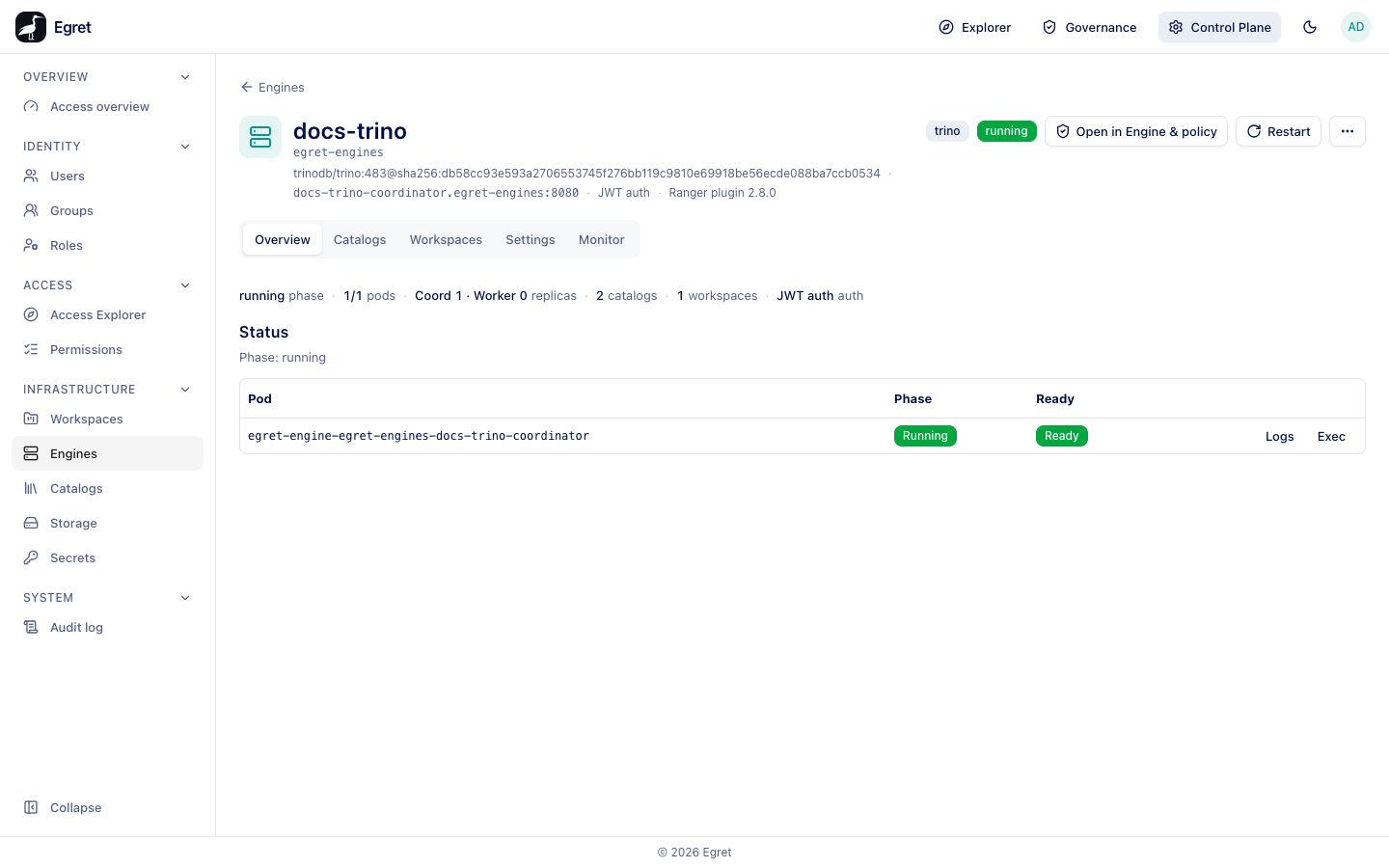 The Overview tab of the provisioned engine docs-trino: phase running, one pod, two catalogs, one workspace