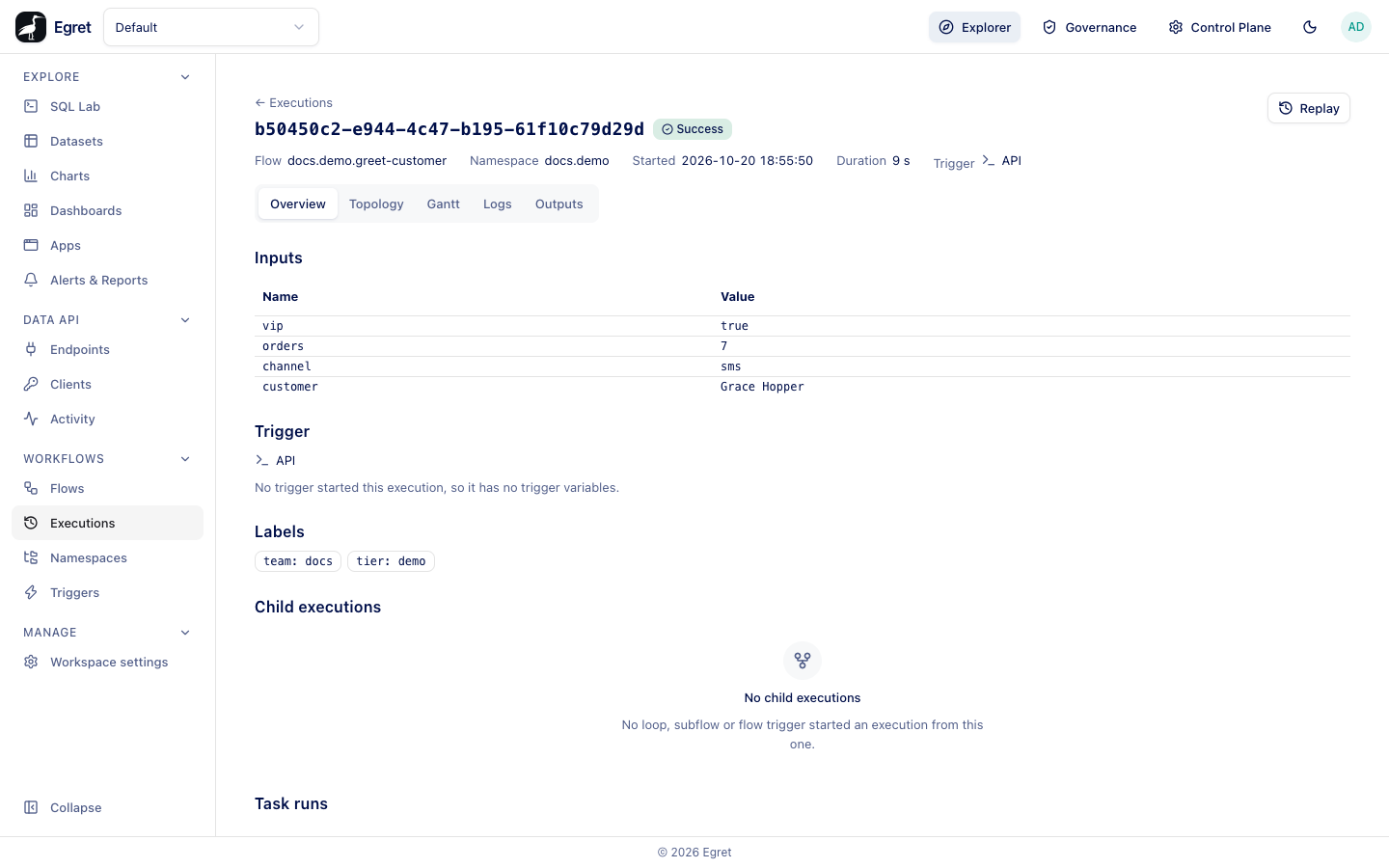 The Overview tab of a successful execution